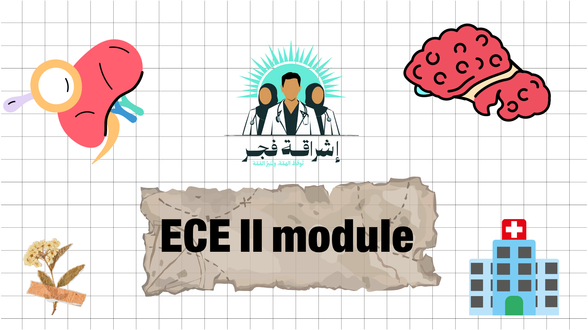 Early Clinical Experience II (ECE II)