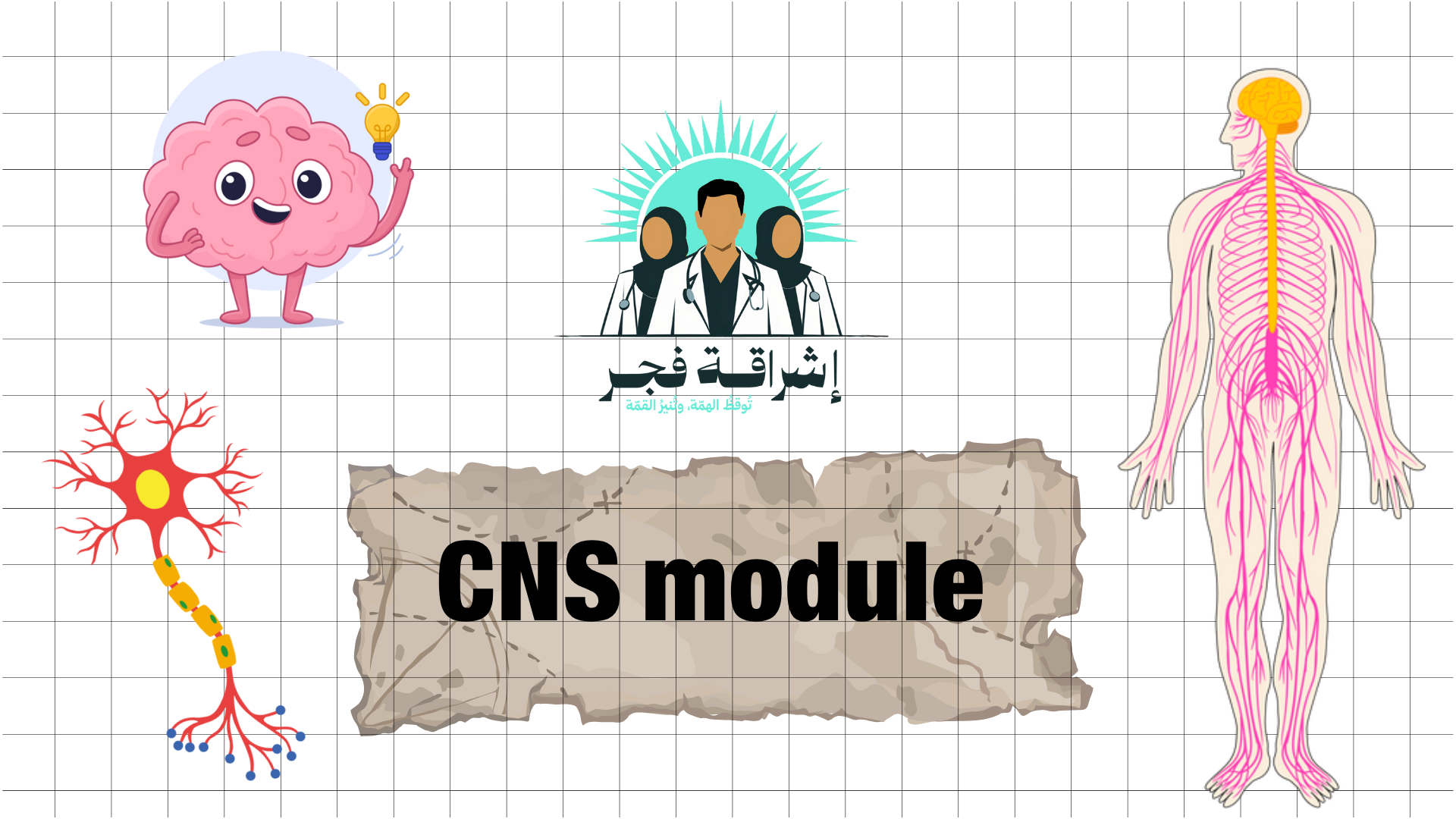 Central nervous system (CNS) Module