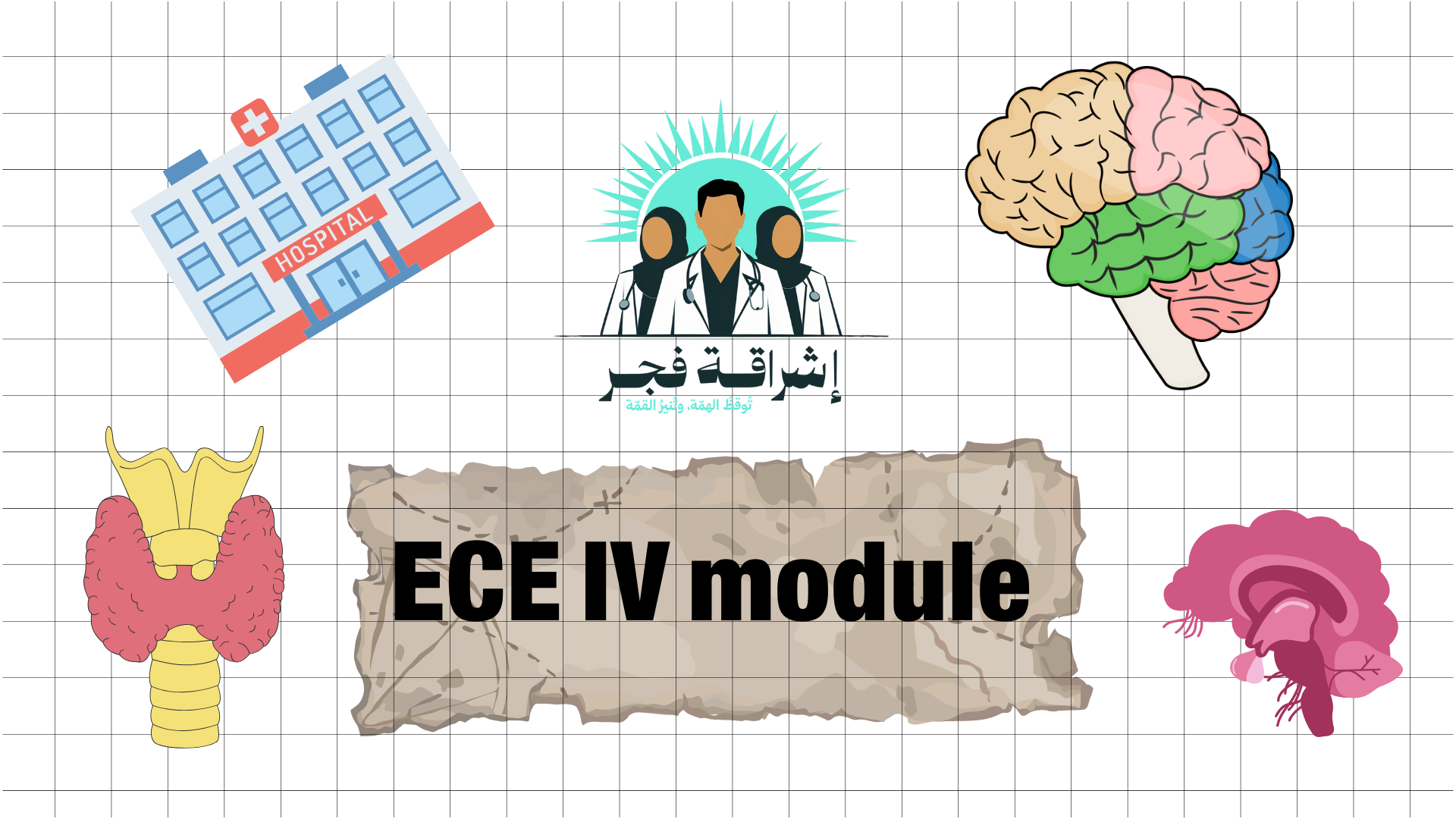 Early Clinical Experience IV (ECE IV)