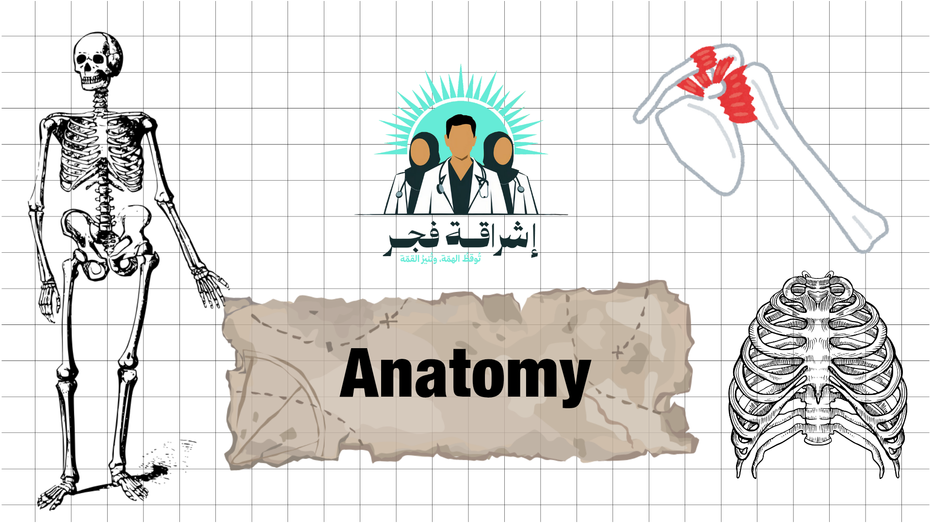 Principles of Anatomy