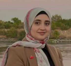 د/ دينا حامد أحمد